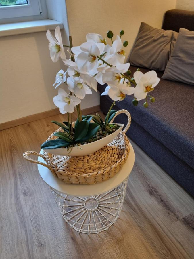 Seebachhof Apartment Edlbach